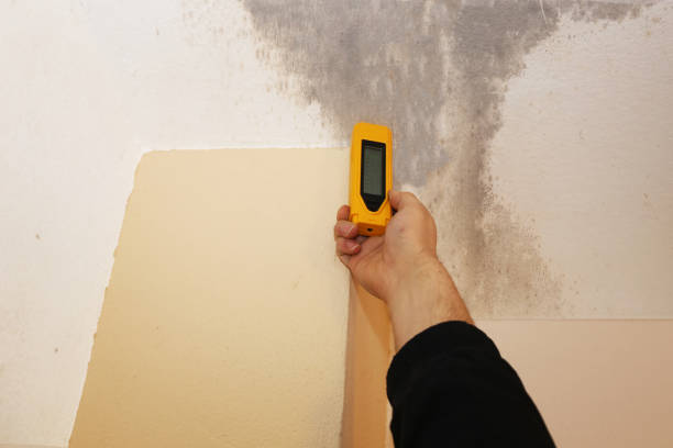 Best Post-Construction Mold Inspection  in Norwood, OK