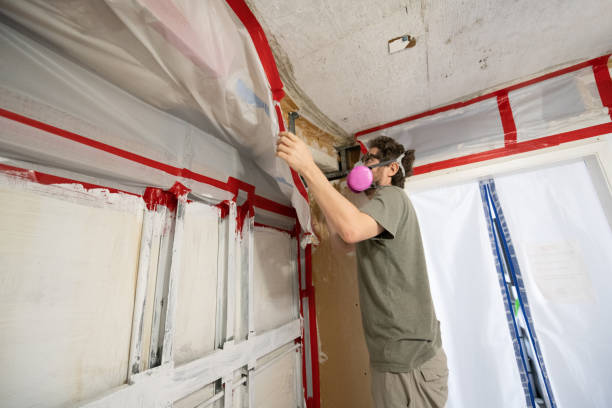 Best Residential Mold Inspection & Testing  in Norwood, OK
