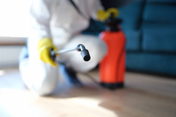 Best Commercial Mold Inspection  in Norwood, OK