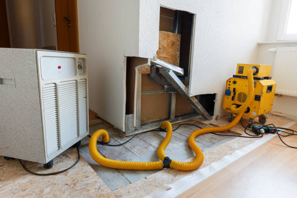 Best Attic Mold Removal  in Norwood, OK